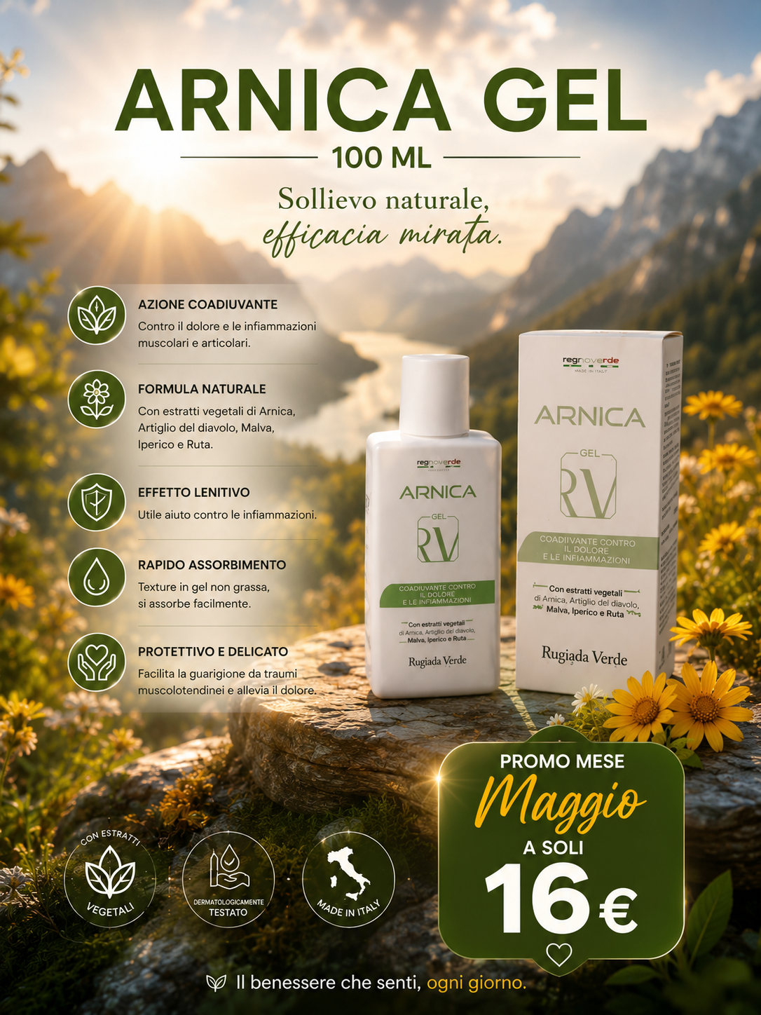 Arnica Gel 100ml