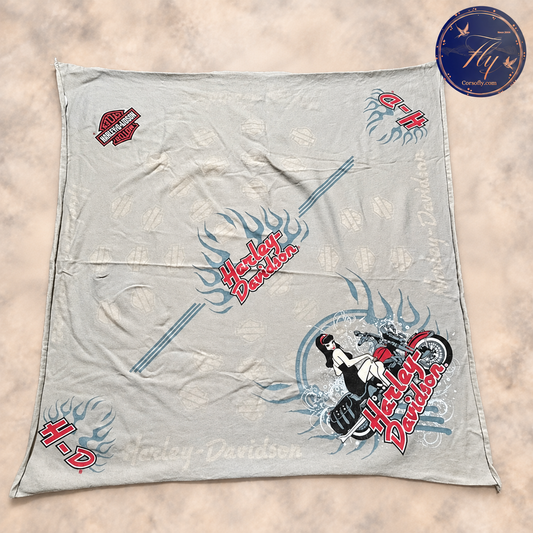 Foulard bandana Harley-Davidson grigio - copertina Corso Fly