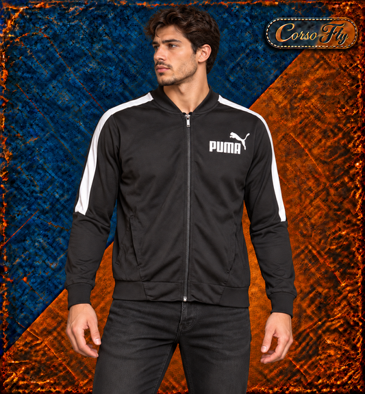 Puma S: simulazione illustrativa su modello